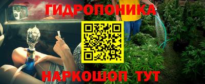 прущие грибы Камышлов