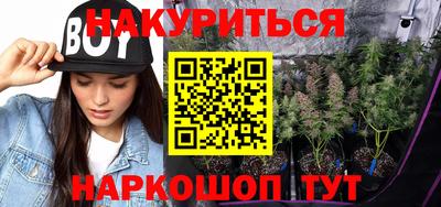 прущие грибы Камышлов