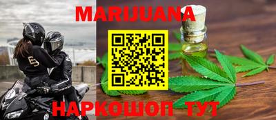 прущие грибы Камышлов