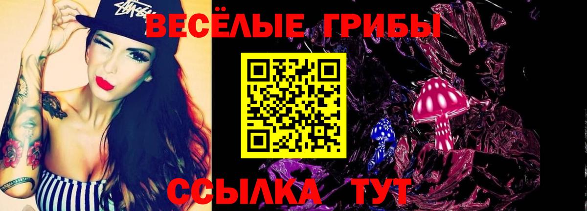 Псилоцибиновые грибы мицелий Кстово